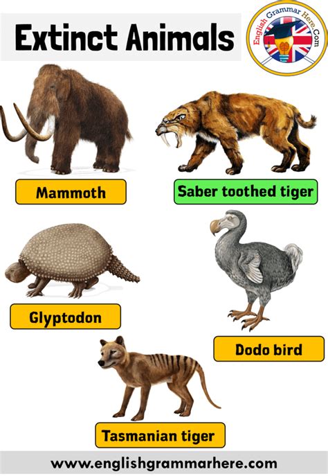 Names Of Extinct Animals Extinct Animals With Names And Pictures