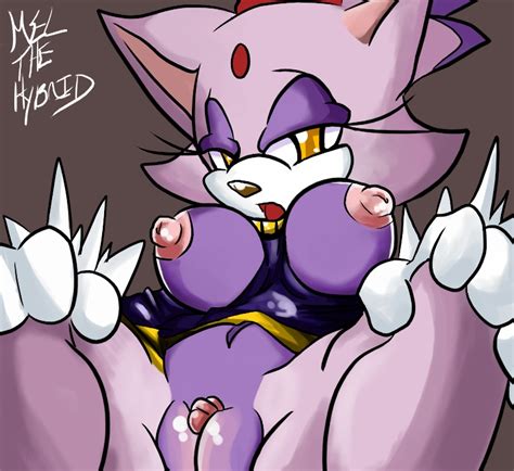 Rule 34 Blaze The Cat Cat Furry Only Mel The Hybrid Sega Sonic