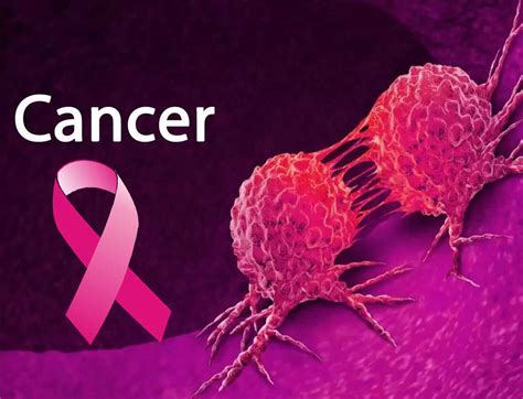 Cancer Three Key Ways To Prevent Cancer Quality Natural Supplements
