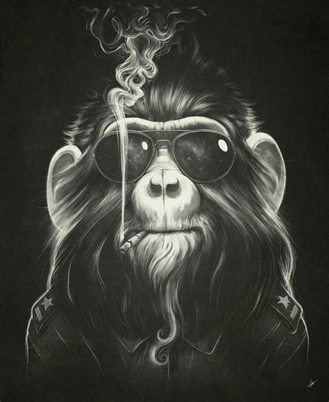 Smoking Monkey Art Art Illustration Art Prints