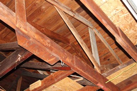 How To Find Ceiling Joist In Garage Shelly Lighting
