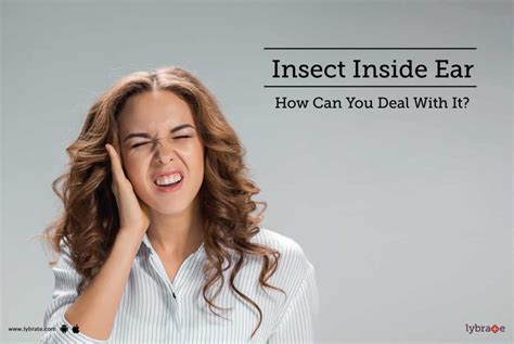 Insect Inside Ear How Can You Deal With It By Dr Harmeet Singh