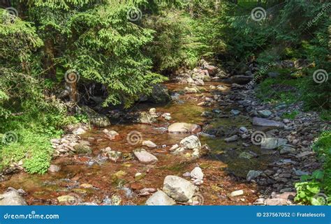 River Flowing Through Pine Forest Mountain Landscape Stock Photo