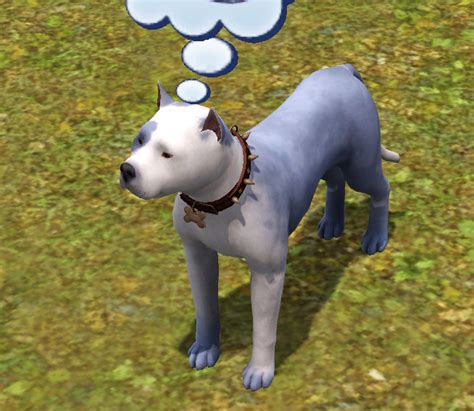 Mod The Sims Blue And White American Pit Bull
