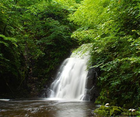 Glenoe Waterfall Forest Gleneo Ireland Larne Northern River