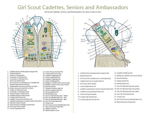 Diagram For Cadette Uniform Girl Scouts Cadettes Cadette Girl Scout