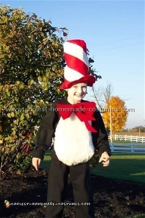 Cool Homemade Dr Seuss Cat In The Hat Costume Ideas