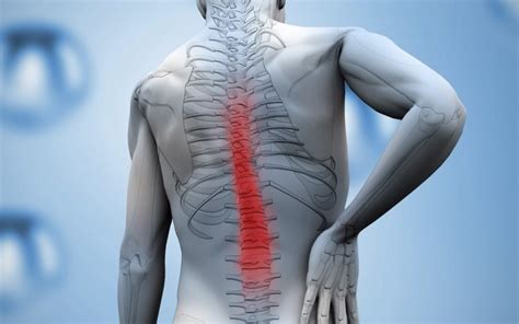 Tratamiento De La Lesión De La Médula Espinal Medicina Básica