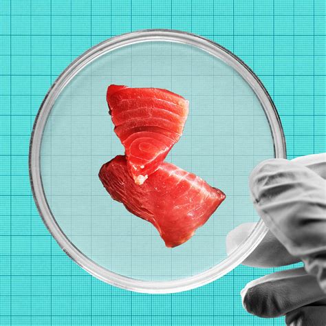Lab-Grown Meat Is Coming, but the Price Is Hard to Stomach - WSJ
