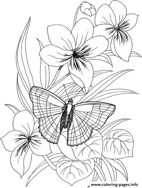 Https://tommynaija.com/coloring Page/butterfly Coloring Pages For Free
