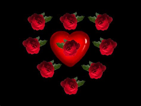 Top 180 Beautiful Animated Roses