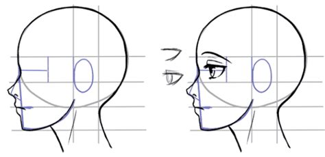 How To Draw The Side Of A Face Side Face Drawing Drawing Heads Manga