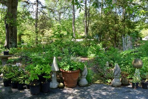 Using Georgia Native Plants Supporting Small Native Plant Nurseries