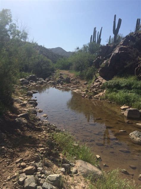 Venture out of your vacation home and check out everything that makes cave creek a fun place to traveling to and around cave creek. 201 best images about phx az. on Pinterest