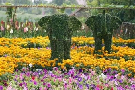 48 Best Images About Bing Photos On Pinterest Gardens