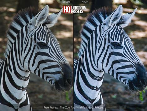 Lightroom presets are saved slider settings inside of adobe lightroom that control light, color, effects, detail, optics and geometry. The Zoo Presets | Free Adobe Photoshop Lightroom Presets ...