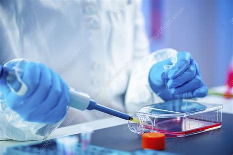 Biotechnology Research Stock Image F0245666 Science Photo Library