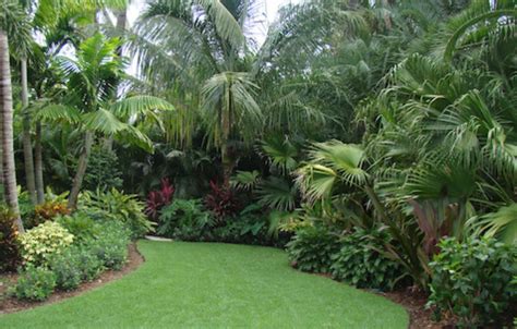 Pin By Allison Biggins On Tropical Landscaping Florida Landscaping