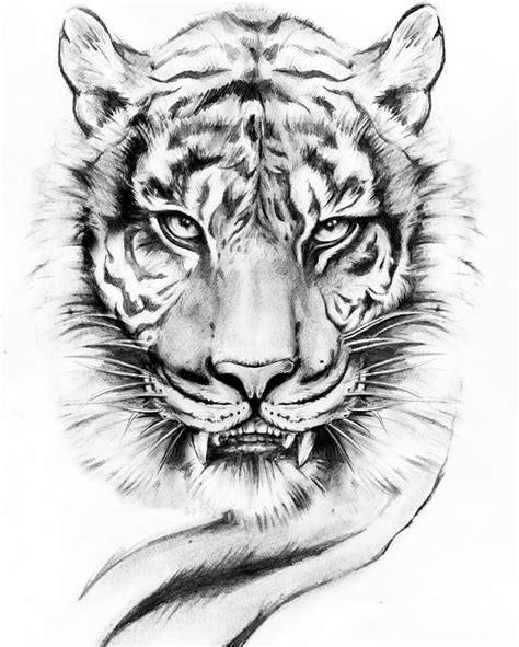 Pin by Bedaharfa on Kresby tužkou Tiger tattoo design Tiger tattoo