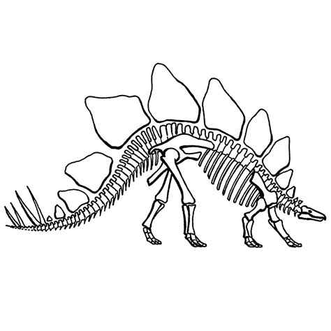 Tekenen en kleuren sjabloon met dinosaurus figuurtjes. Leuk voor kids - skelet van een stegosaurus