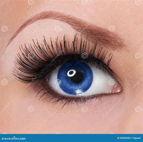 Eye With Long Eyelashes Beautiful Blue Eye Stock Photo Image Of