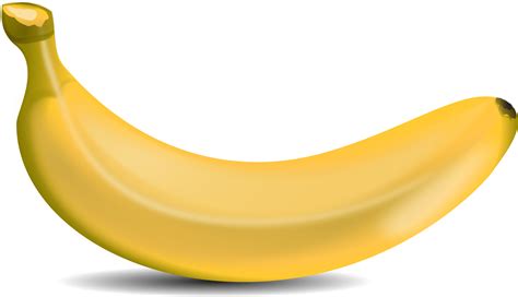 Free Banana Transparent Png Download Free Banana Transparent Png Png Images Free ClipArts On