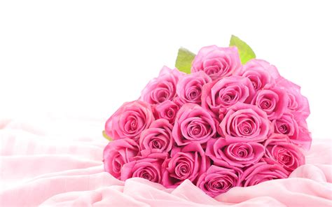 Pink Roses On Valentine — Картинки и Рисунки