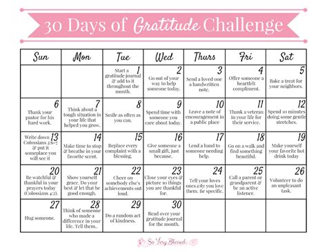 30 Days Of Gratitude Challenge 2016 Gratitude Gratitude Journal