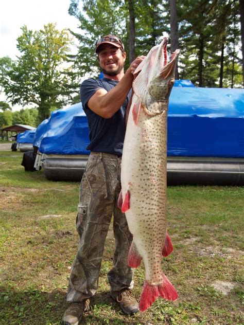 It is a very active lake with an average of 9.5 feet depth and clarity on good days of 3 feet. New Michigan State Record Great Lakes Muskie Caught in ...