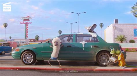 Sing Have You Ever Seen A Koala Washing A Car Hd Clip Youtube