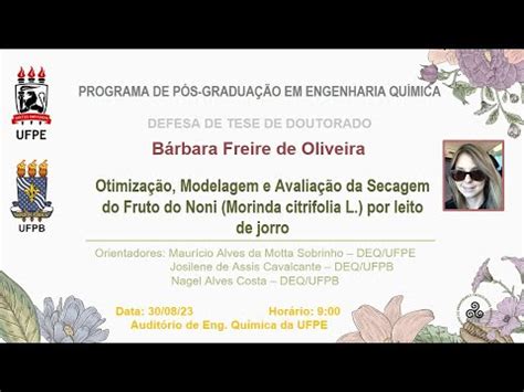 Defesa Doutorado Barbara Freire Youtube