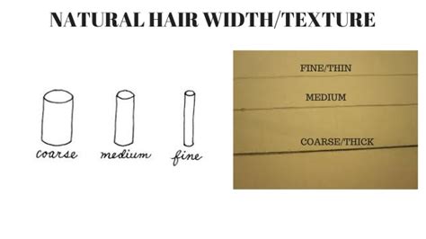 Know Your Natural Hair Texturewidth And Hair Density