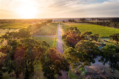 The 7 Best Wineries Near Perth Big 7 Travel