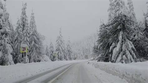 Pasul Prislop Maramureș Iarna Ca în Basme 2019 Winter Wonderland