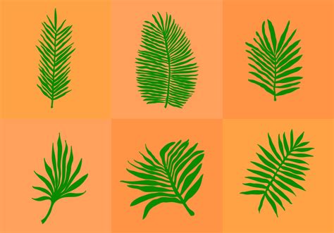 Palm Leaf Isolated Download Free Vector Art Stock Graphics And Images