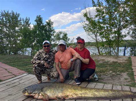 Сегодня был пойман сом на 70кг, на данный момент это рекорд сезона 2022. Картинка - Сегодня был пойман сом на 70кг, на данный момент это рекорд сезона 2022.