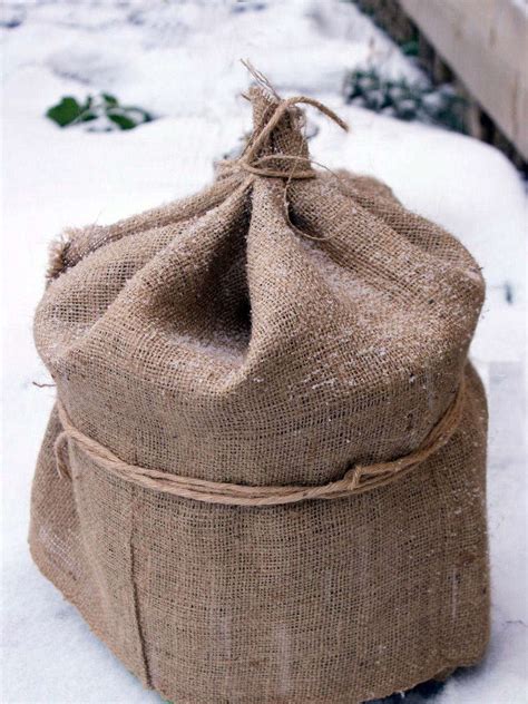 Transitioning your indoor plants to the outdoors is. Garden Hacks: 10 Genius Ideas to Keep Plants Warm in ...