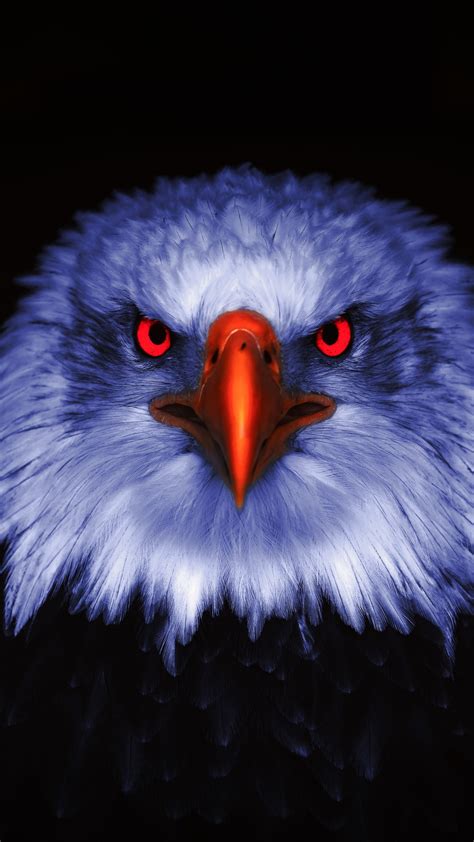 2160x3840 Eagle Raptor Red Eyes Close Up Wallpaper Eagle Wallpaper