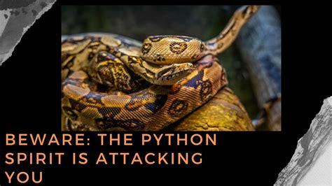 Prophetic Word Beware The Python Spirit Is Attacking You Deliverance Prayer With Tongues Of