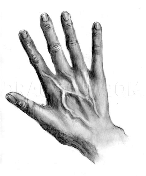 How To Draw Realistic Hands Draw Hands By Catlucker Dragoart Com