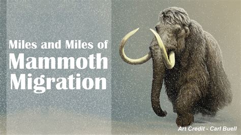 Miles And Miles Of Mammoth Migration Youtube