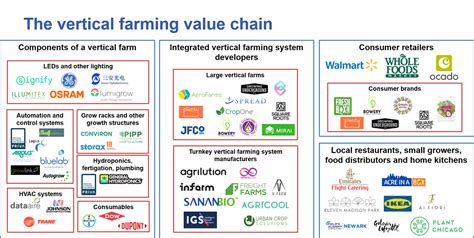 Vertical Farming 2021 The Mega Report