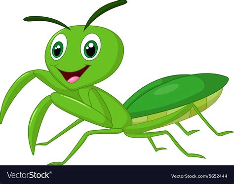 Praying Mantis Cartoon Find The Perfect Praying Mantis