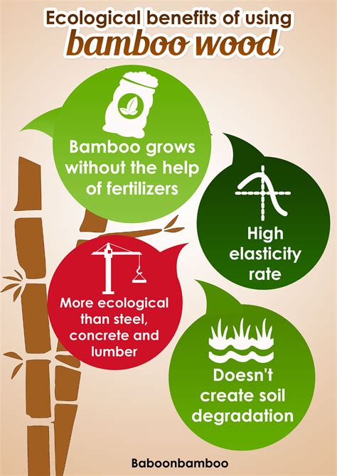 How To Plant Grow And Care For Bamboo In Your Garden Artofit