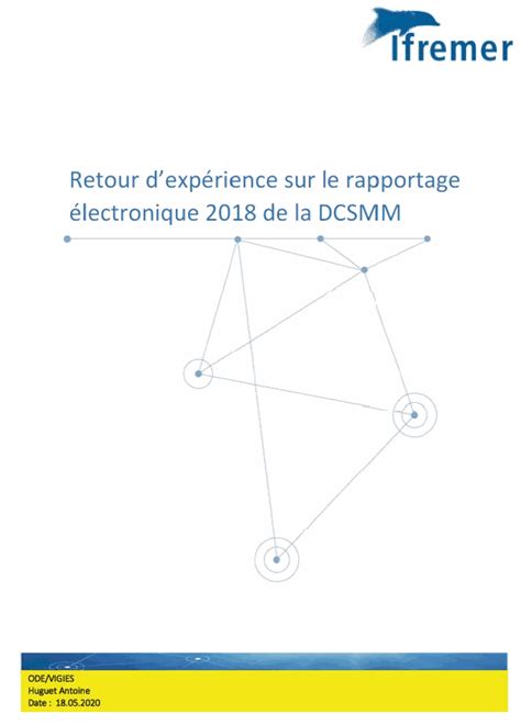 Retour d expérience sur le rapportage électronique 2018 de la DCSMM