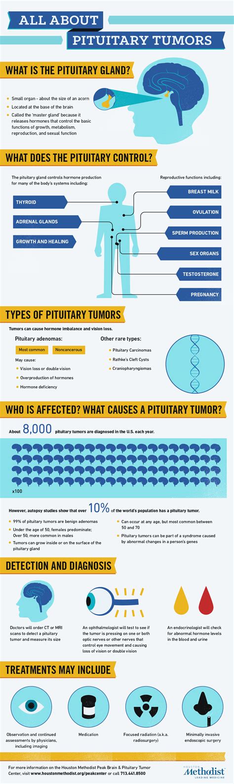 Learn About Pituitary Tumors And How Theyre Treated Pituitary Gland