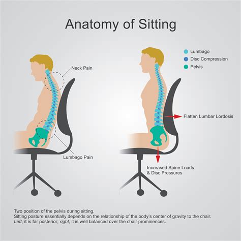 What Is The Proper Ergonomics For Sitting At A Desk Office Anything