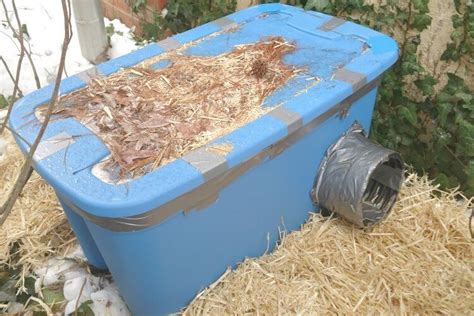 An estimated sixty million feral cats live in the united states today. How to Make a Feral Cat Shelter - Epic Pet Health