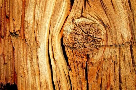 Wood Texture Background ·① Download Free Full Hd