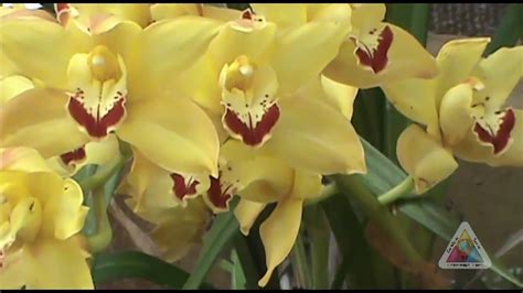 Check spelling or type a new query. Música Relaxante - Buscando a Paz - YouTube